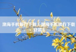 渤海手机银行下载（渤海手机银行下载安装）