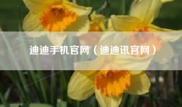 迪迪手机官网（迪迪讯官网）