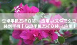 安卓手机怎样安装apk应用apk文件怎么安装到手机「安卓手机怎样安装apk应用」