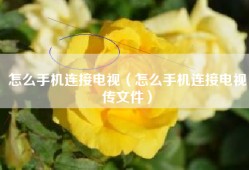 怎么手机连接电视（怎么手机连接电视传文件）