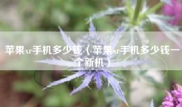 苹果xr手机多少钱（苹果xr手机多少钱一个新机）