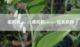 虚拟机 ios 13 虚拟机vmware安装教程