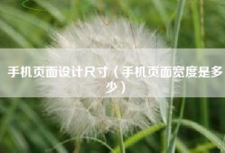 手机页面设计尺寸（手机页面宽度是多少）