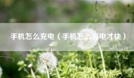 手机怎么充电（手机怎么充电才快）