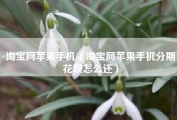 淘宝网苹果手机（淘宝网苹果手机分期花呗怎么还）