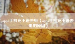 oppo手机充不进去电（oppo手机充不进去电的原因）