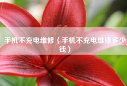 手机不充电维修（手机不充电维修多少钱）