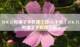 ZUK Z1和锤子手机哪个好zuk手机「ZUK Z1和锤子手机哪个好」