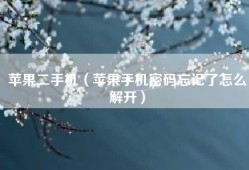 苹果二手机（苹果手机密码忘记了怎么解开）