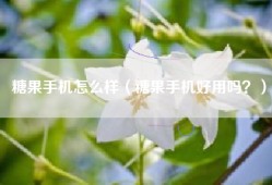 糖果手机怎么样（糖果手机好用吗？）