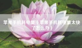 苹果手机耗电量（苹果手机耗电量太快了怎么办）