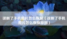 误删了手机照片怎么恢复（误删了手机照片怎么恢复原图）