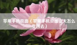 苹果手机页面（苹果手机页面变大怎么变回去）