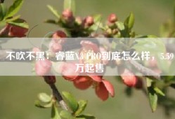 不吹不黑：睿蓝X3 PRO到底怎么样，5.59万起售