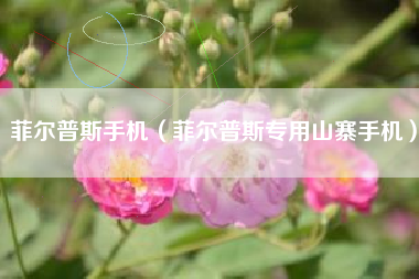 菲尔普斯手机（菲尔普斯专用山寨手机）