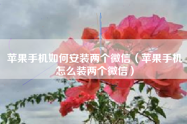 苹果手机如何安装两个微信（苹果手机怎么装两个微信）