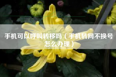 手机可以呼叫转移吗（手机转网不换号怎么办理）