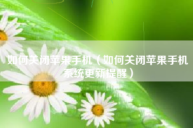 如何关闭苹果手机（如何关闭苹果手机系统更新提醒）