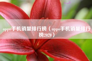 oppo手机销量排行榜（oppo手机销量排行榜2020）