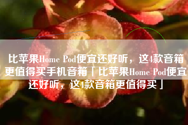 比苹果Home Pod便宜还好听，这4款音箱更值得买手机音箱「比苹果Home Pod便宜还好听，这4款音箱更值得买」