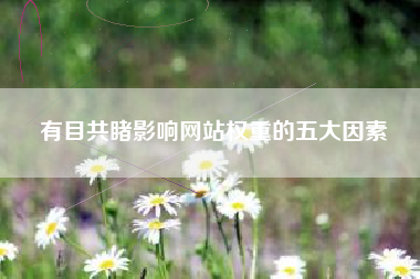 有目共睹影响网站权重的五大因素